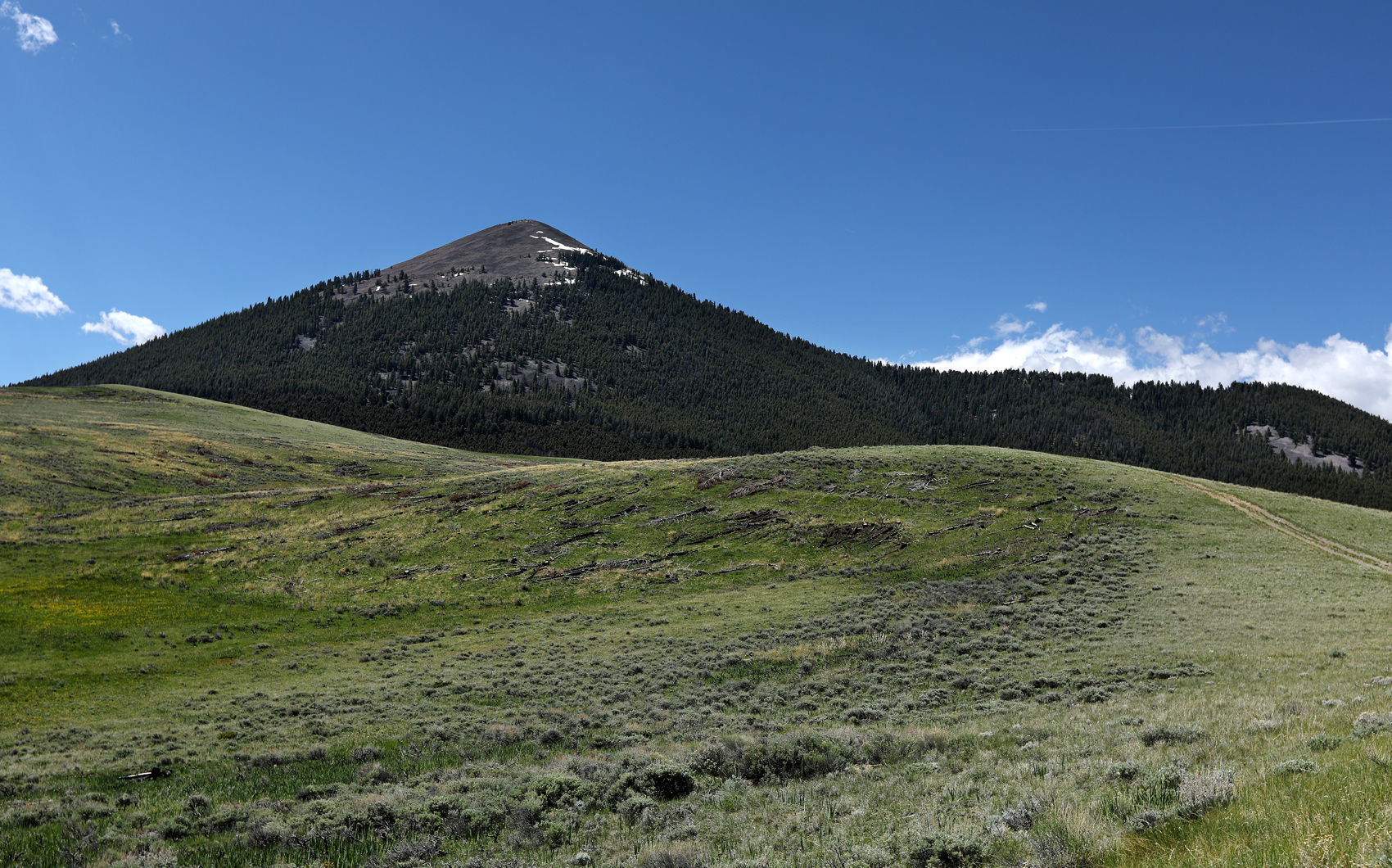 Medicine Lodge Mountain